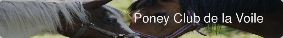 Poney Club de la Voile
